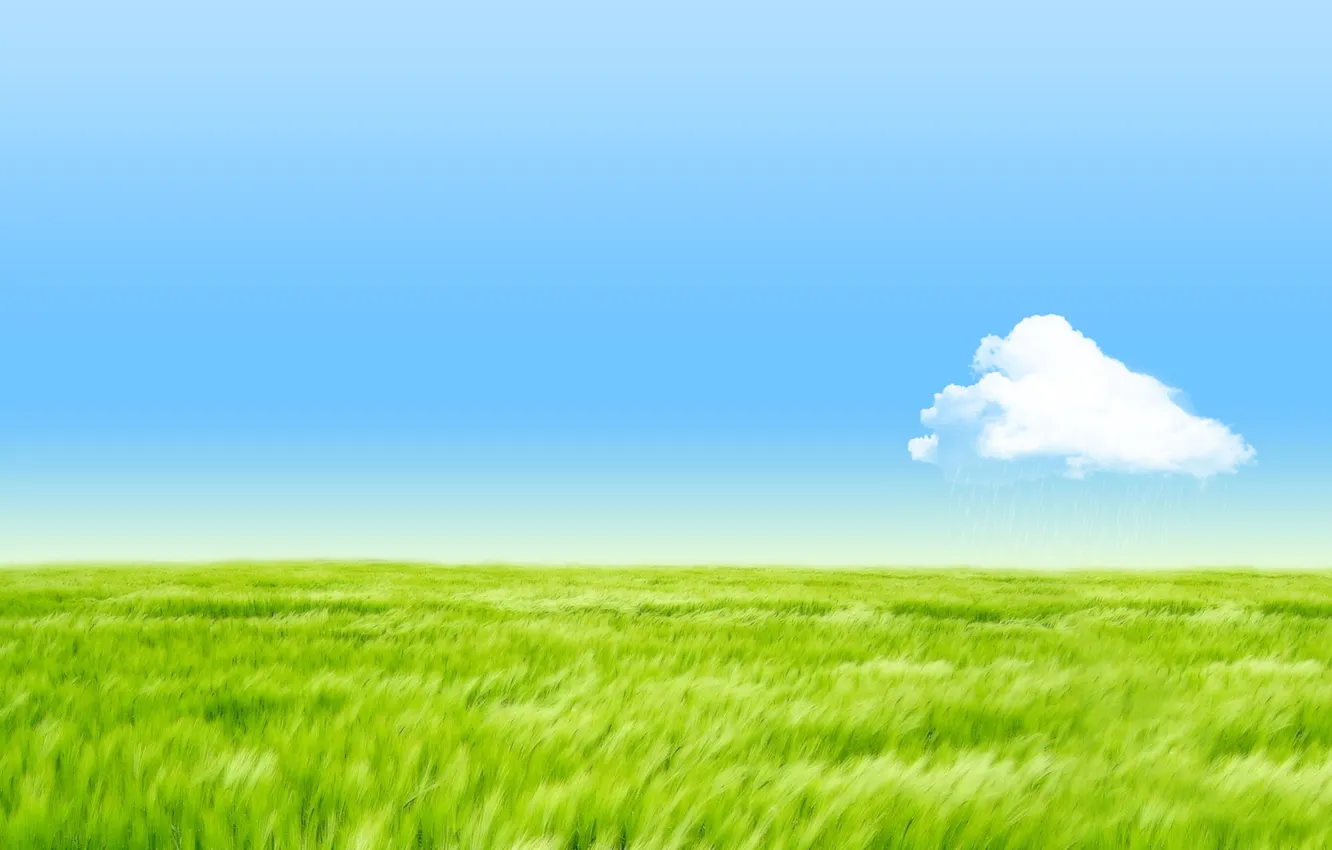 Photo wallpaper field, the sky, grass, clouds
