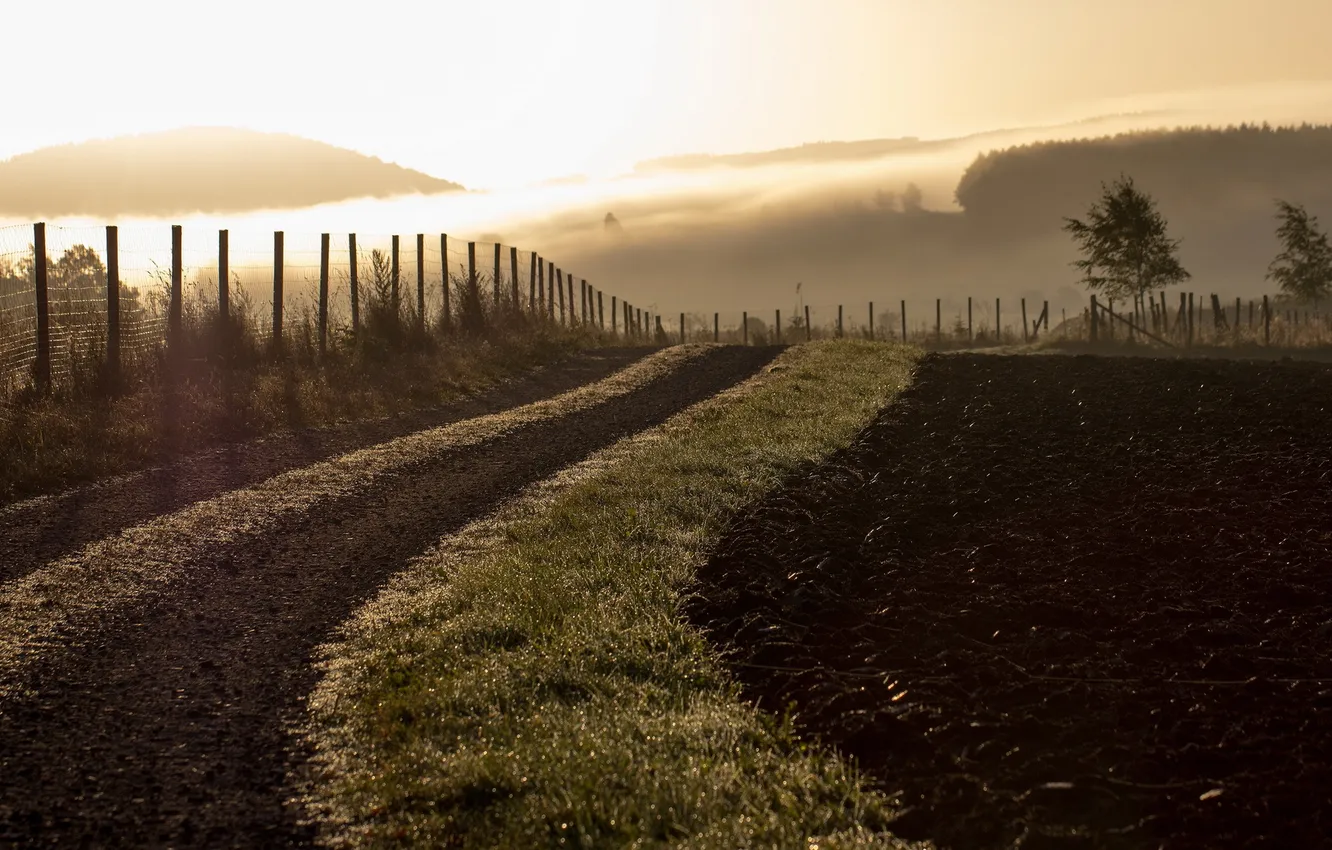 Photo wallpaper field, landscape, fog, morning