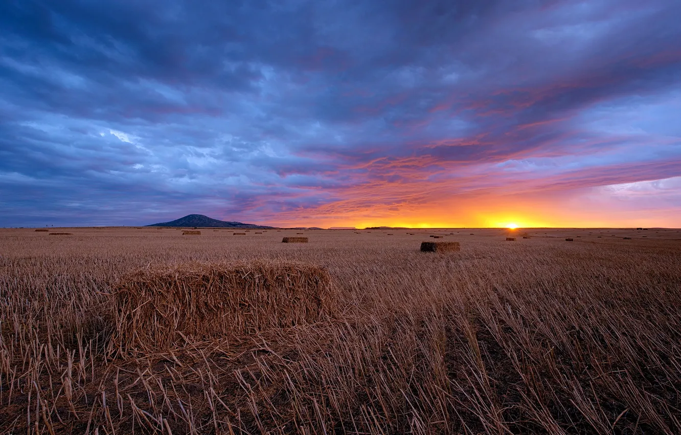 Photo wallpaper field, sunset, hay