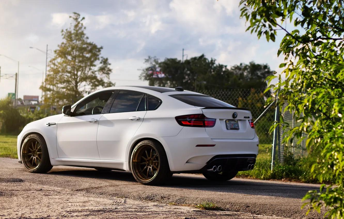 Photo wallpaper road, white, bmw, BMW, the fence, white, rear view, x6m