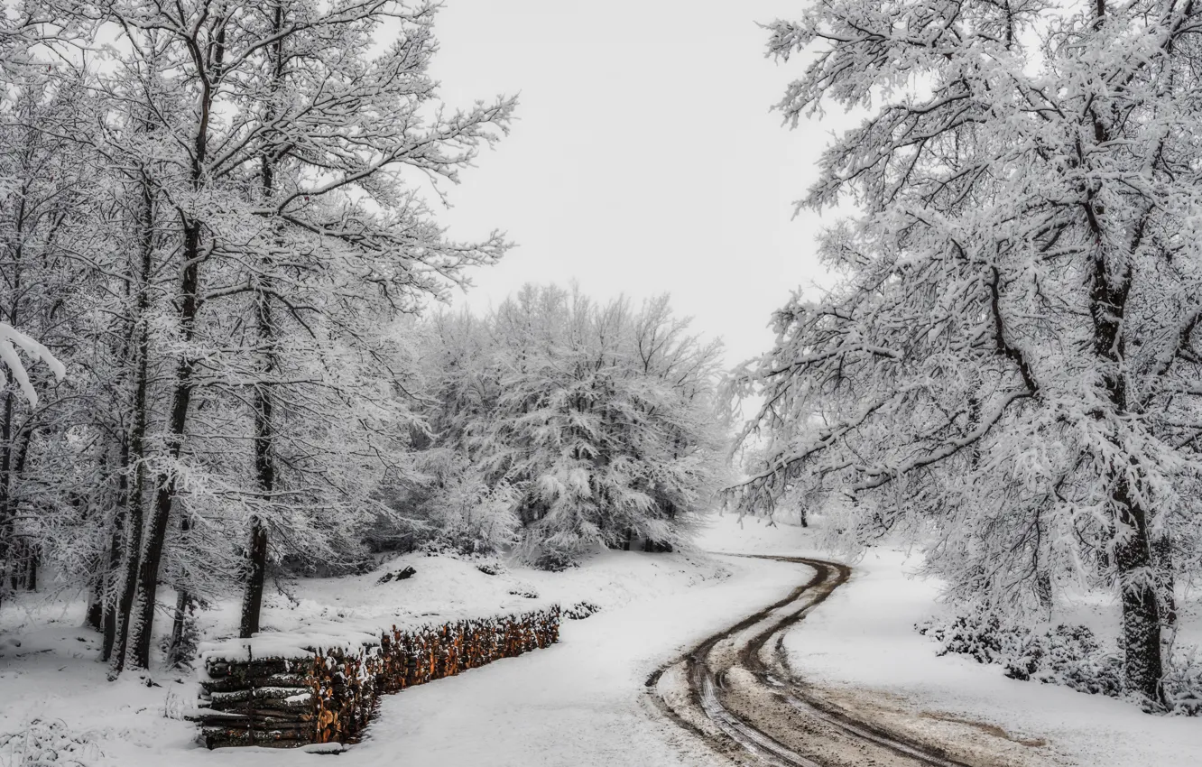 Photo wallpaper winter, road, snow