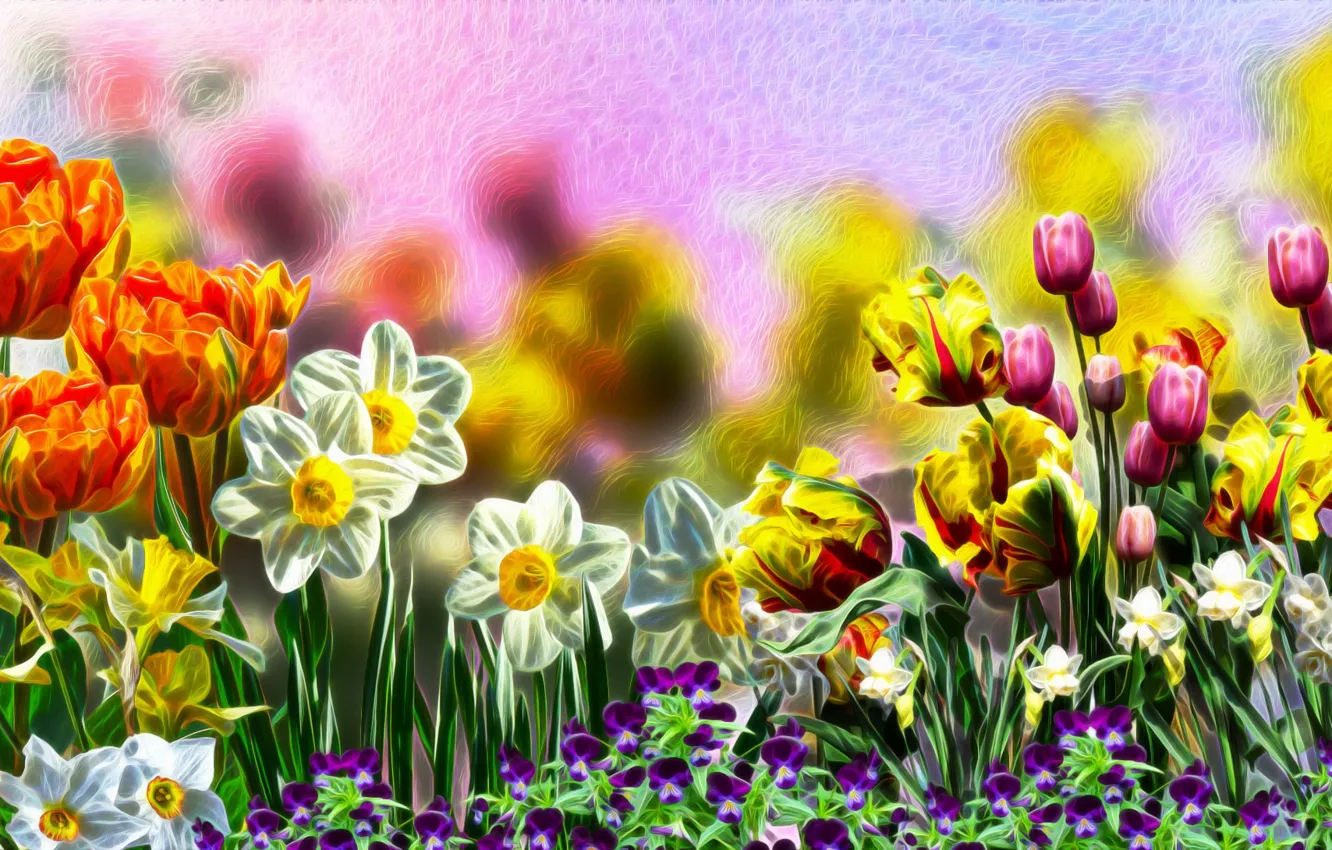 Photo wallpaper Tulipany, Flowers, Bratki