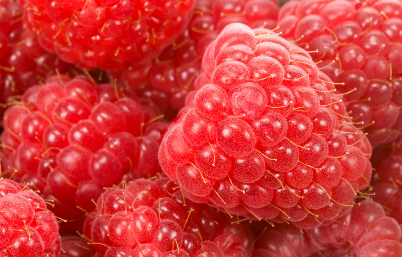 Photo wallpaper macro, raspberry, quality
