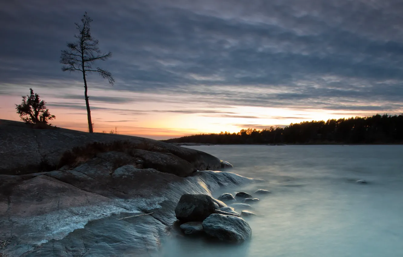 Photo wallpaper trees, landscape, night, nature, lake, stones