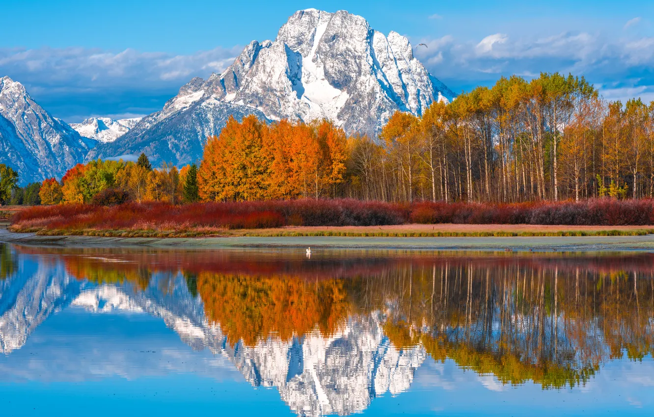 Photo wallpaper autumn, forest, trees, landscape, mountains, nature, reflection, river
