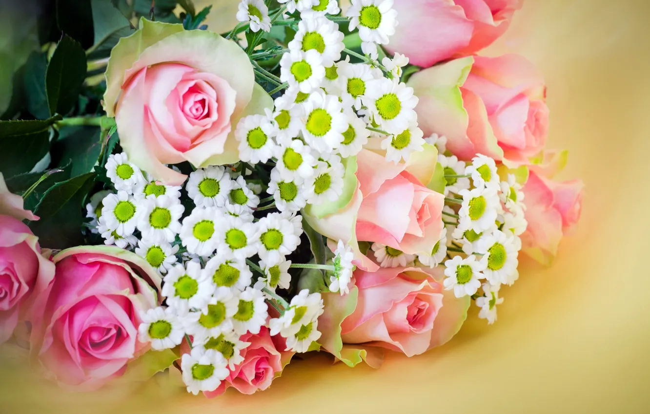 Photo wallpaper flowers, roses, bouquet, blur, chrysanthemum, pink, roses, Chrysanthemum