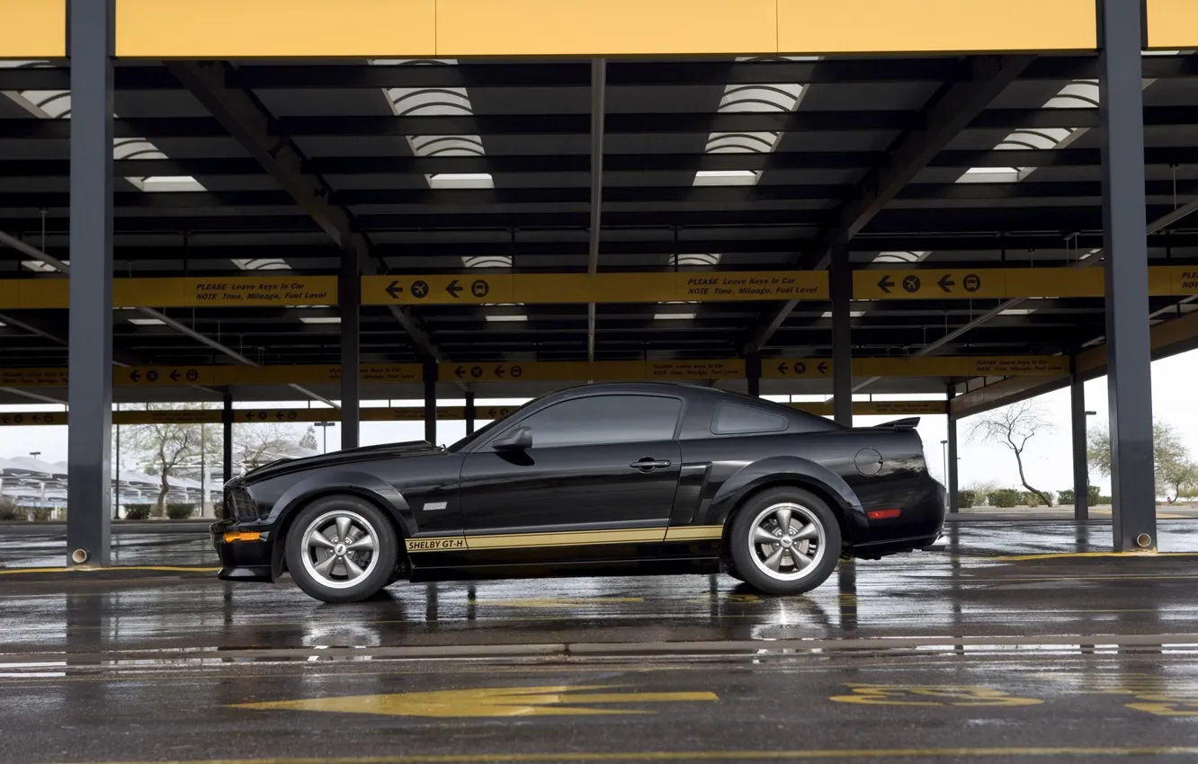 Photo wallpaper Mustang, Shelby, GT500