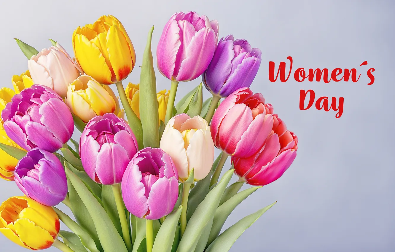 Photo wallpaper flowers, bouquet, colorful, tulips, March 8, flowers, tulips, spring
