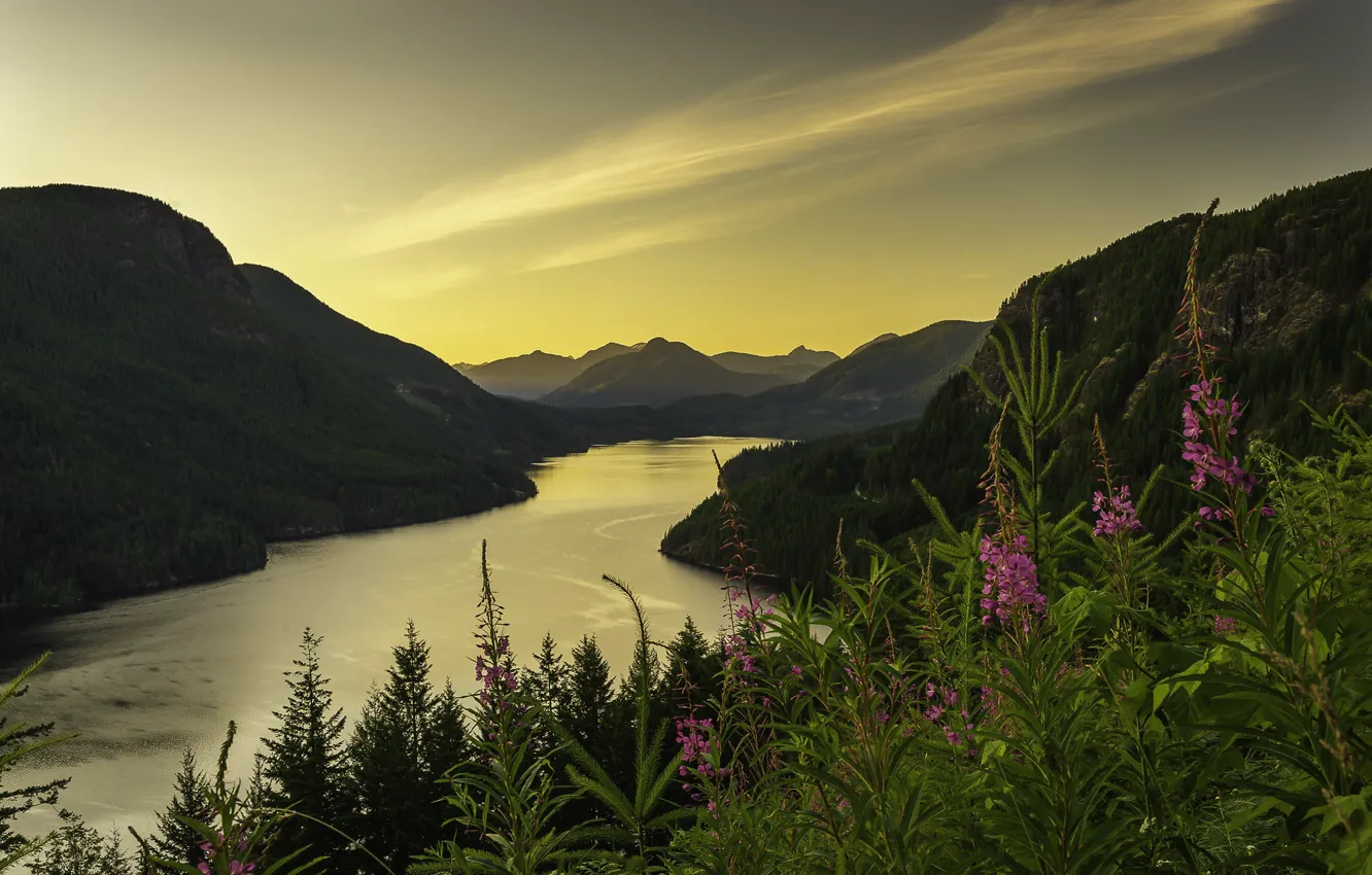 Photo wallpaper flowers, mountains, river, the evening