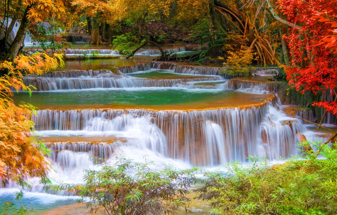 Photo wallpaper autumn, forest, leaves, trees, waterfall, beauty, Thailand, the bushes