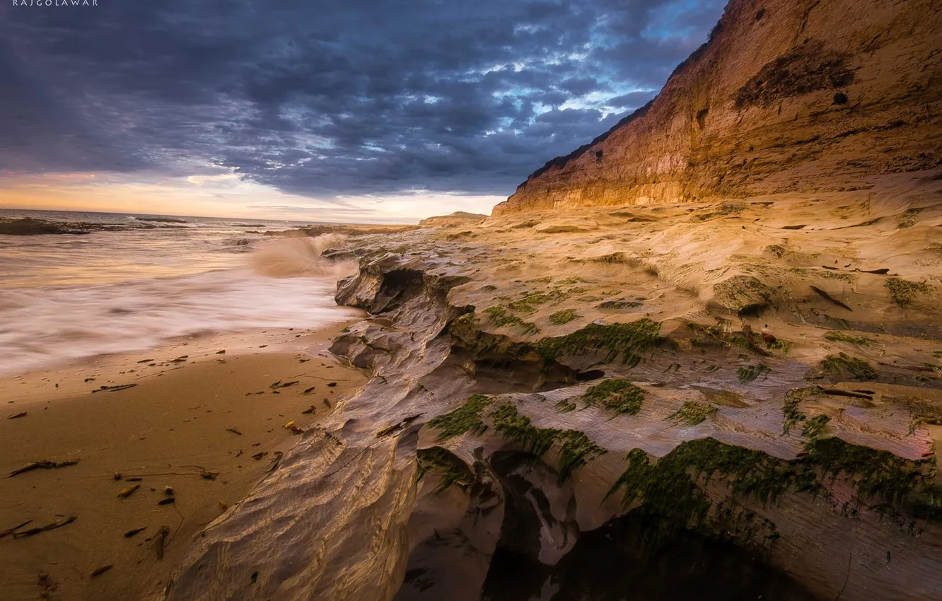 Photo wallpaper beach, the sky, algae, clouds, the ocean, rocks, shore, rasvet