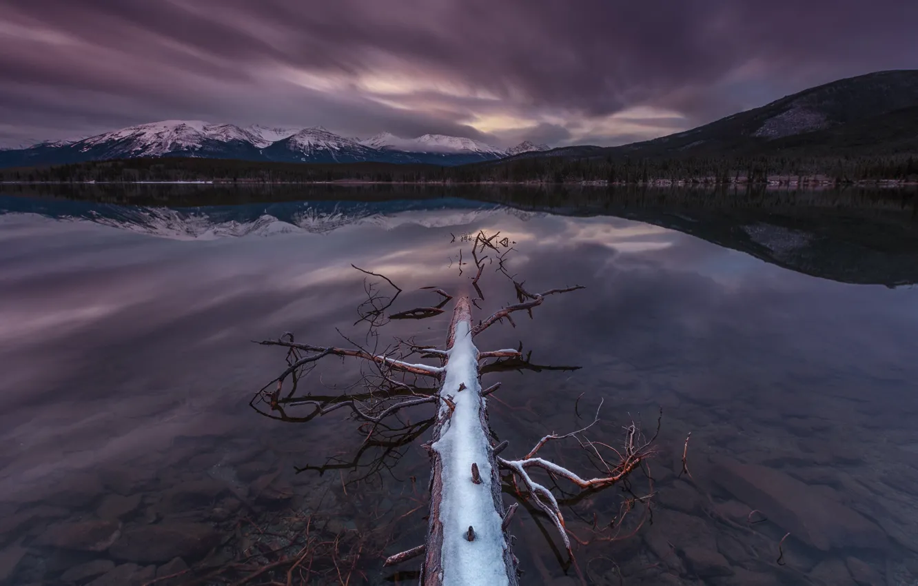 Photo wallpaper transparency, trees, mountains, lake, reflection