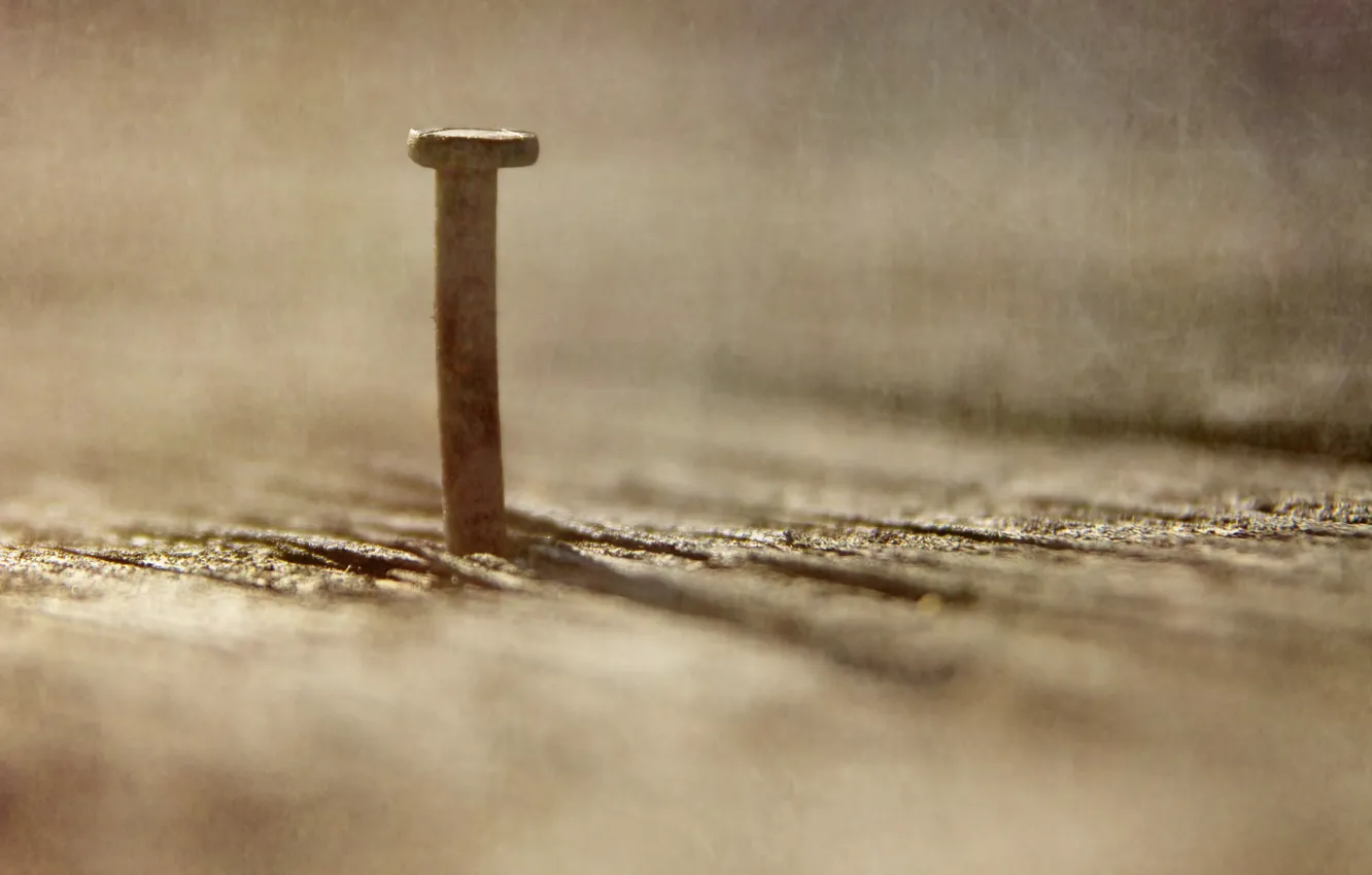 Photo wallpaper macro, background, nails