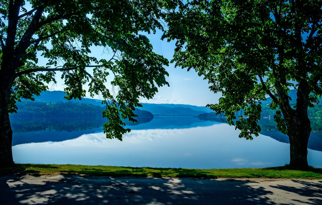Photo wallpaper road, trees, lake, Norway, Norway, Heddalsvatnet Lake, Telemark, Telemark