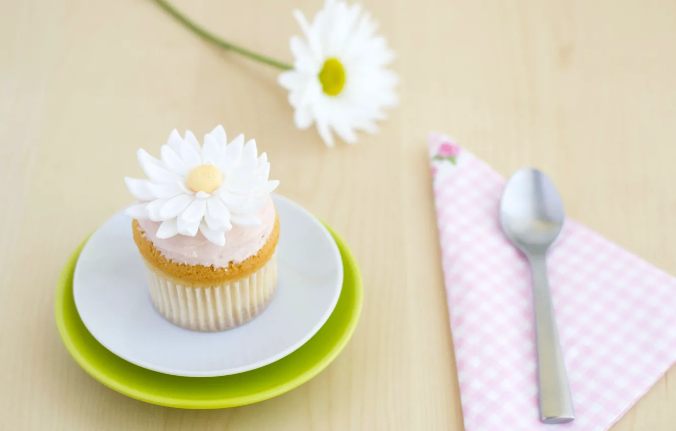 Photo wallpaper flower, Daisy, spoon, decoration, cream, dessert, cakes, sweet