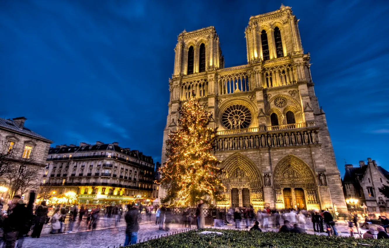 Photo wallpaper holiday, France, Paris, tree, new year, area, Notre Dame Cathedral, Notre Dame de Paris