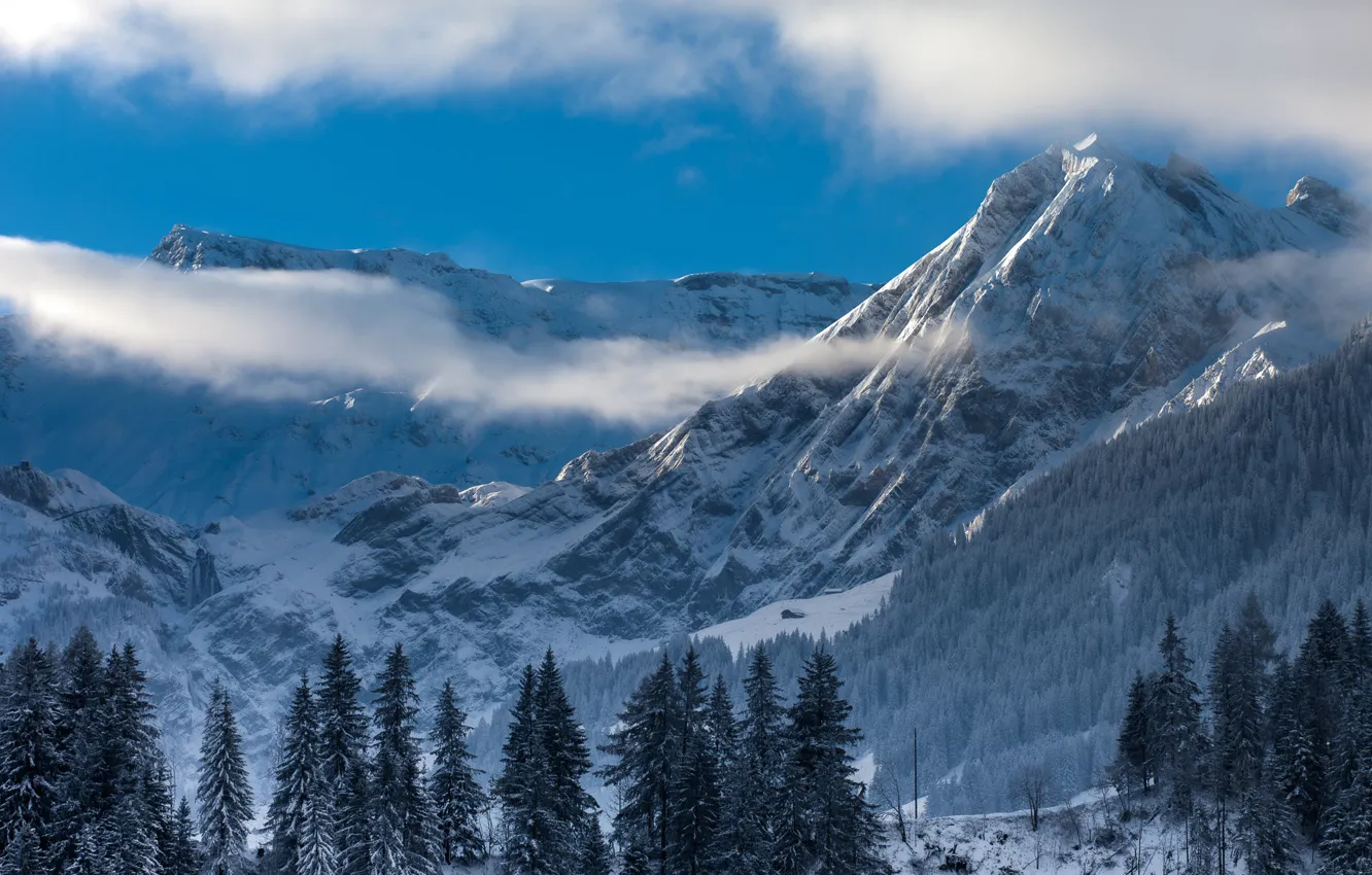 Photo wallpaper winter, forest, the sky, clouds, snow, trees, mountains, nature