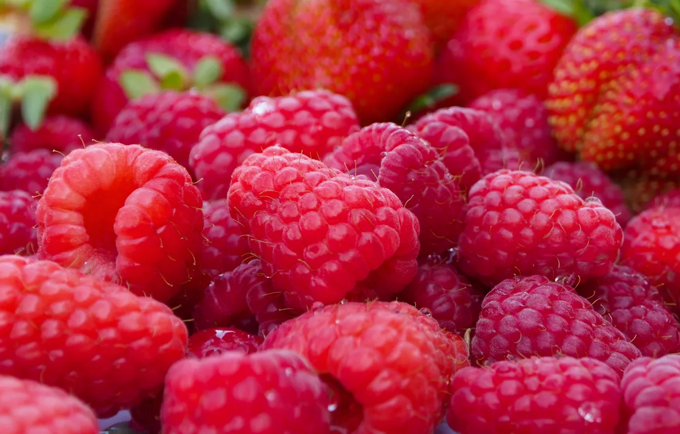 Photo wallpaper macro, berries, raspberry, strawberry