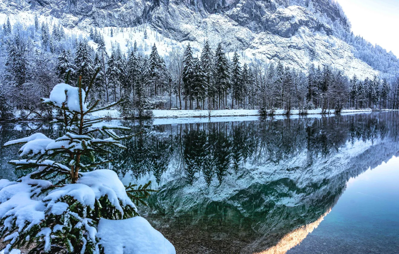 Photo wallpaper winter, water, snow, trees, mountains, river
