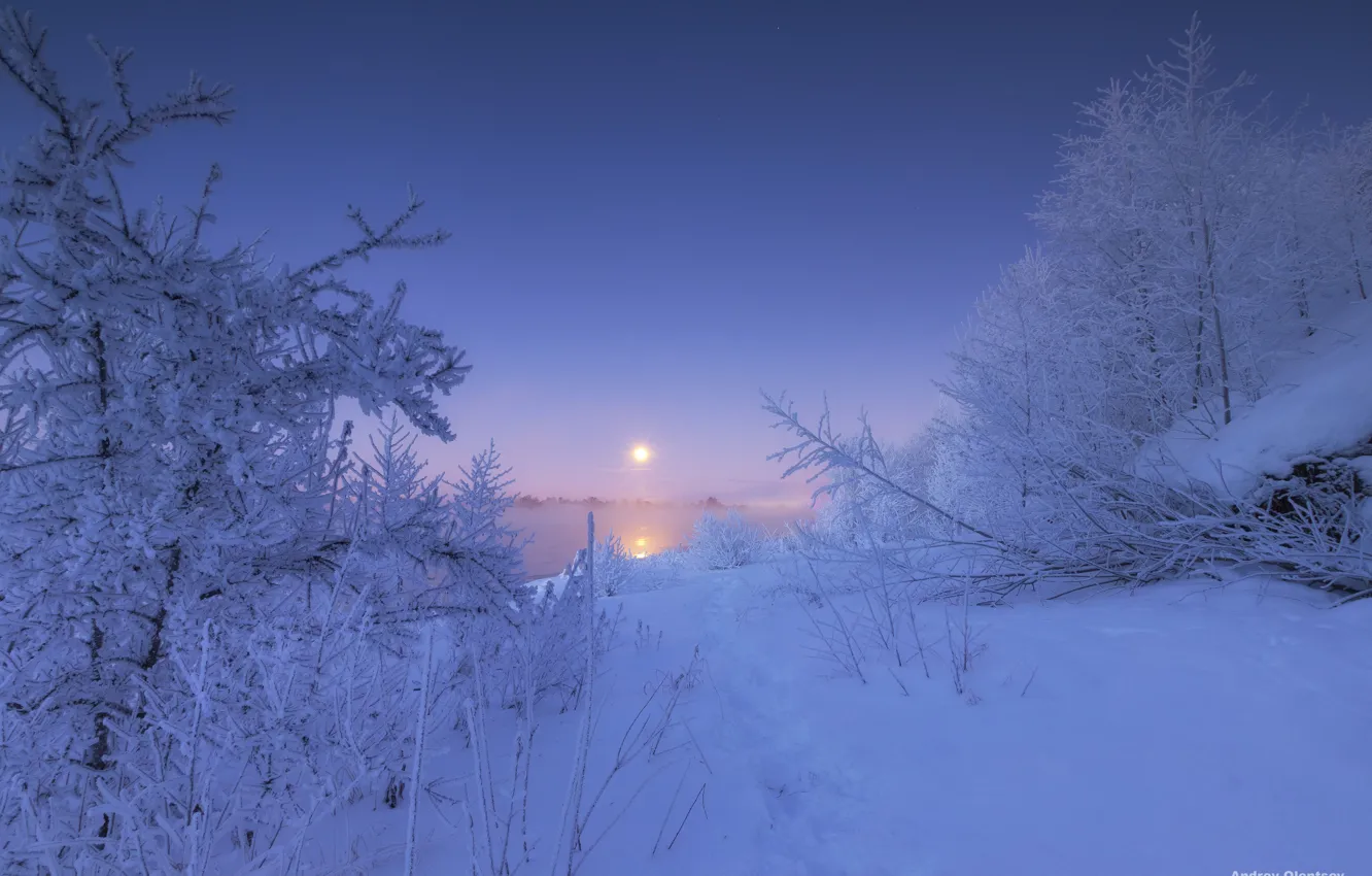 Photo wallpaper winter, snow, trees, river, dawn, morning, the snow, Russia