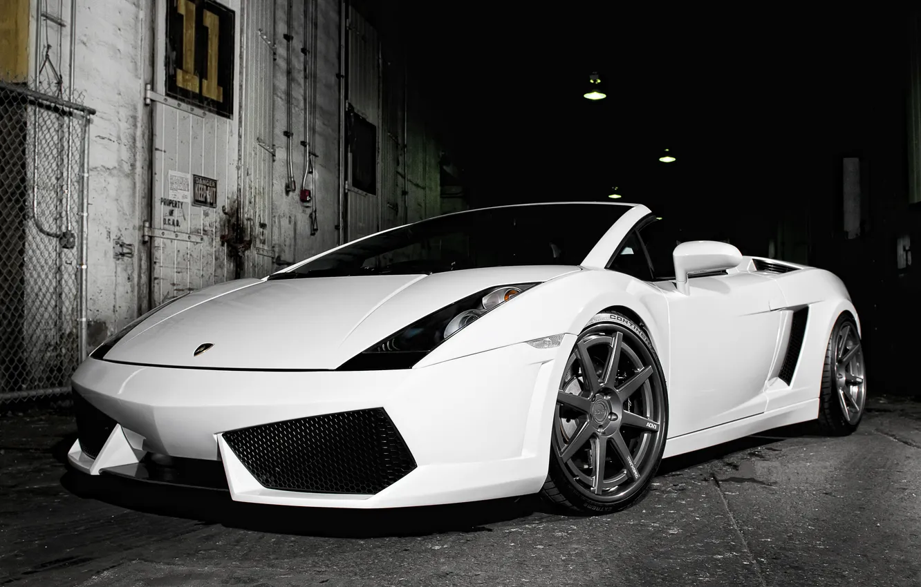 Photo wallpaper white, Lamborghini, white, Roadster, Gallardo, Lamborghini, galardo