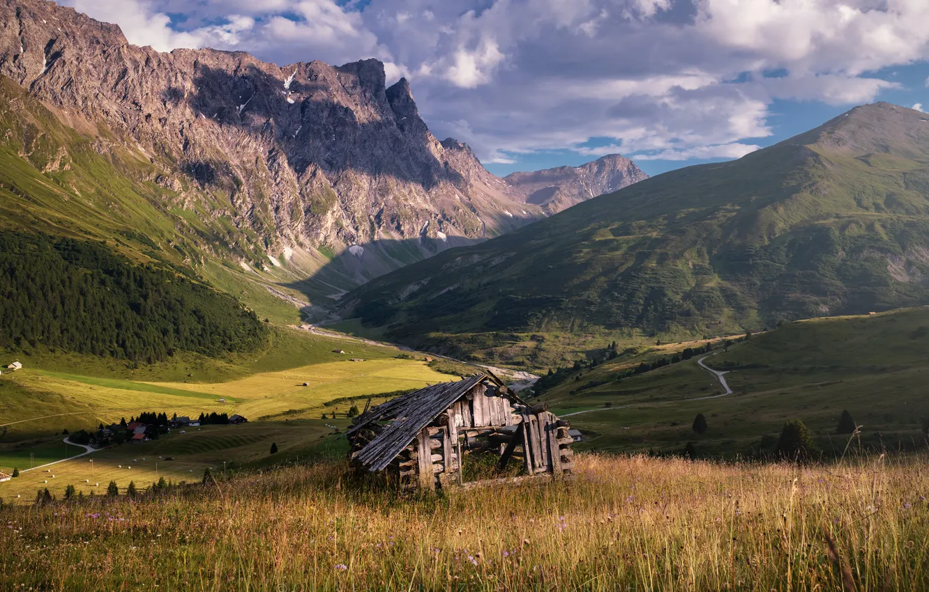 Photo wallpaper field, forest, the sky, grass, clouds, light, mountains, hills