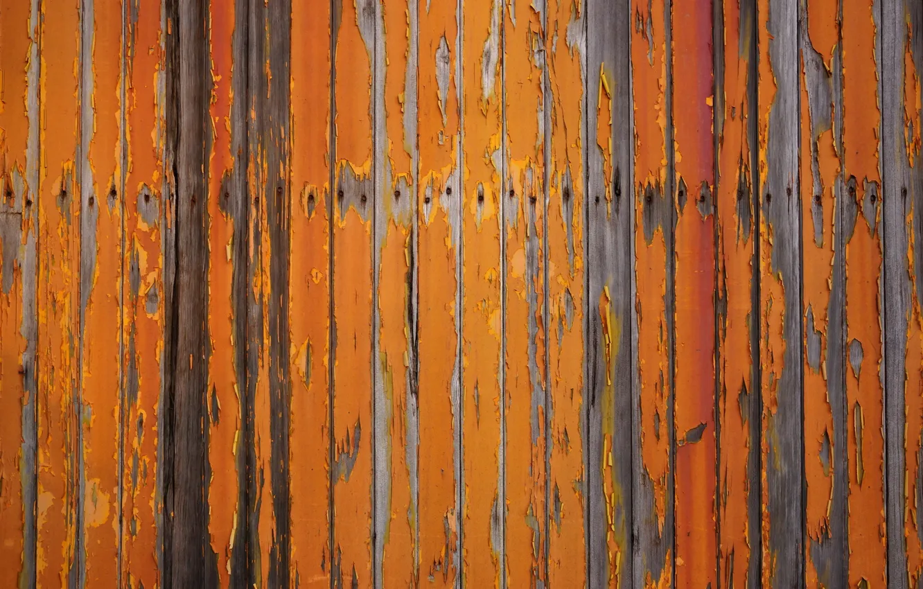 Photo wallpaper paint, Board, the fence