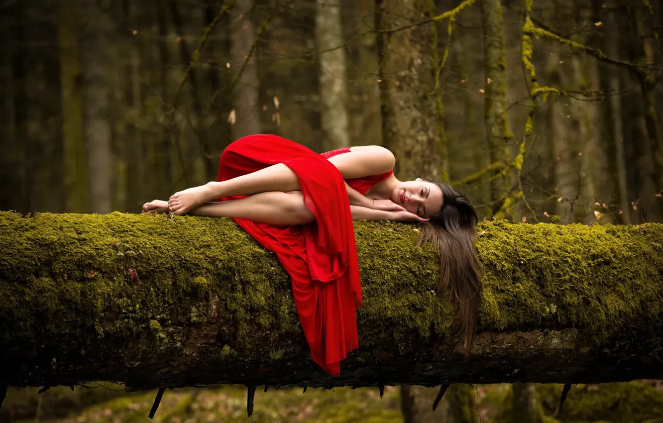 Photo wallpaper forest, girl, moss, sleep, dress, in red, Garcia, Emmanuel