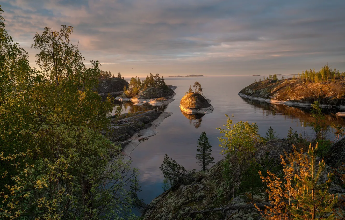 Photo wallpaper trees, landscape, nature, stones, Lake Ladoga, Ladoga, Skerries