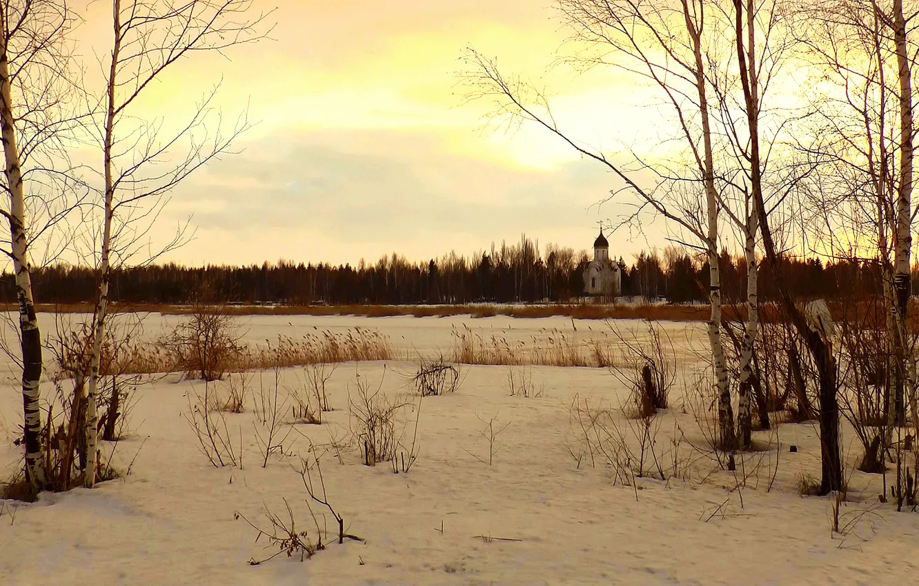 Photo wallpaper nature, spring, temple, birch, nature, dawn, spring, dawn