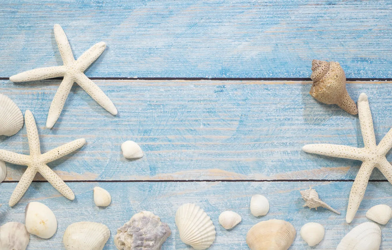 Photo wallpaper sea, background, shell, starfish