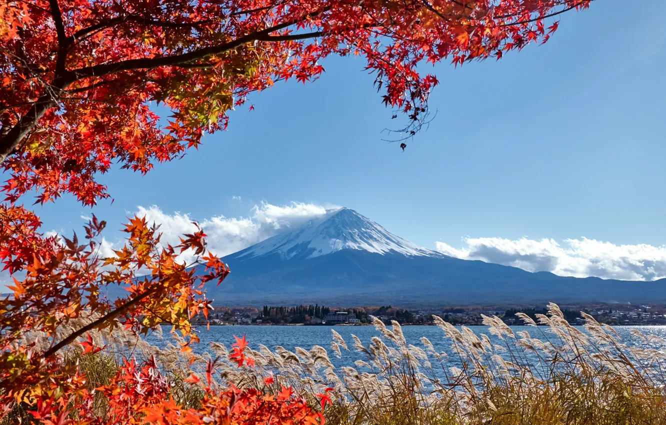 Photo wallpaper autumn, the sky, leaves, colorful, Japan, Japan, red, maple