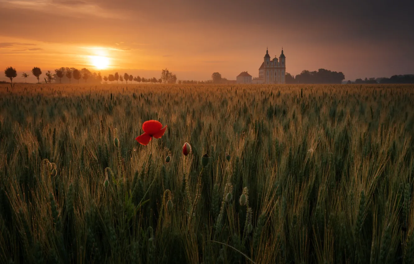 Photo wallpaper field, sunset, Mac, the evening, Church