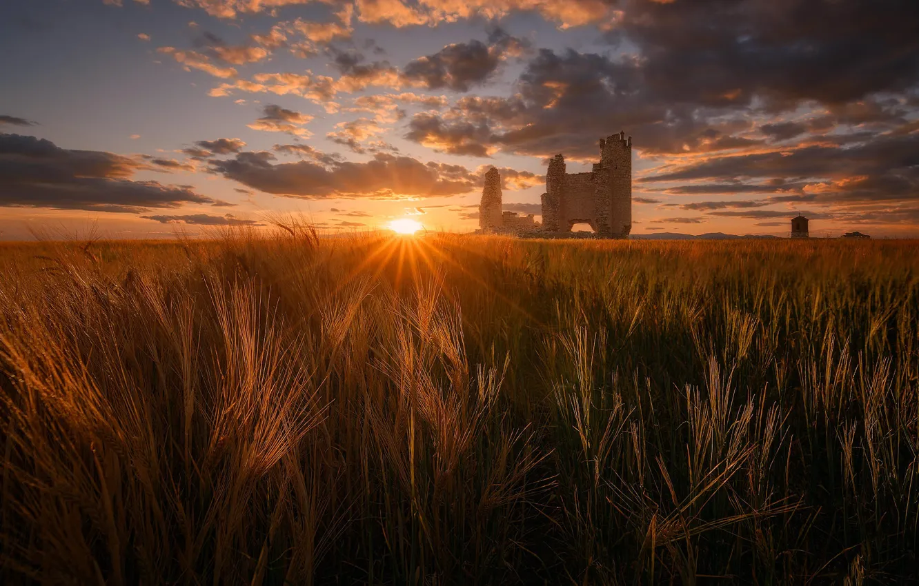Photo wallpaper field, the sun, clouds, rays, sunset, clouds, castle, dawn