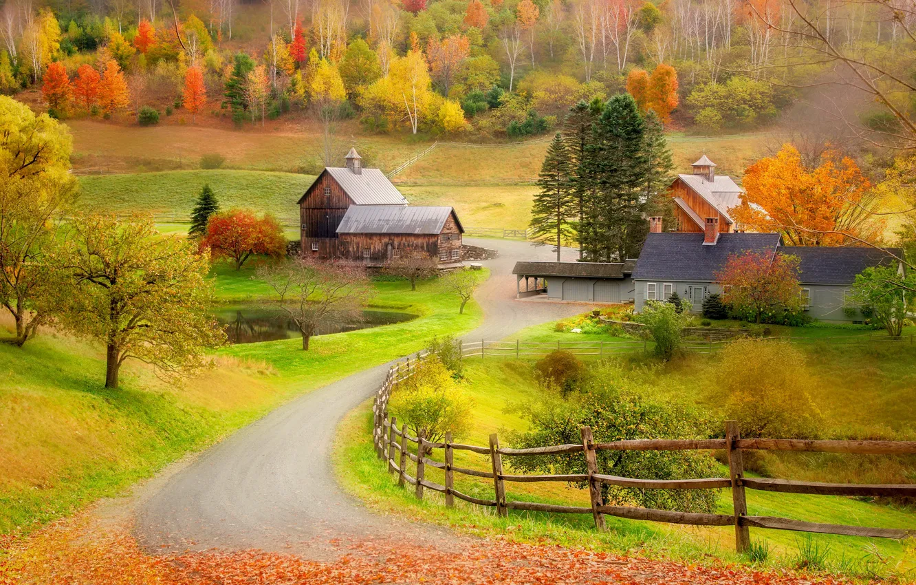 Wallpaper autumn, forest, trees, nature, the fence, home for mobile and ...