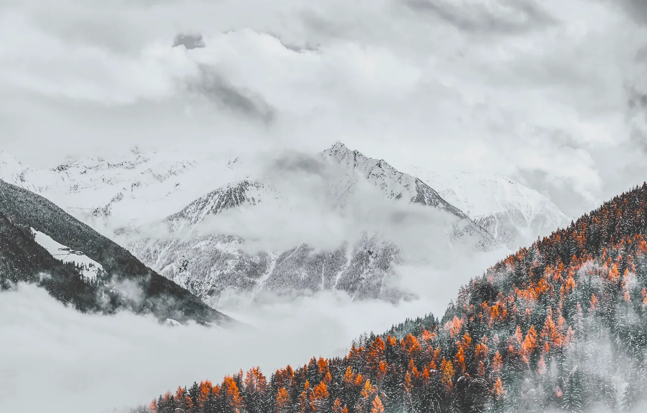 Photo wallpaper forest, clouds, snow, trees, landscape, mountains, nature