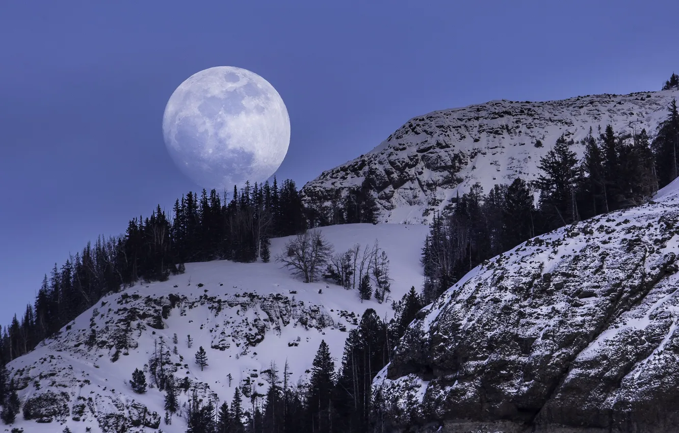 Photo wallpaper winter, the sky, snow, trees, mountains, nature, the moon, the full moon