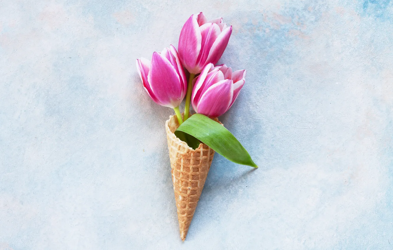 Photo wallpaper bouquet, tulips, horn