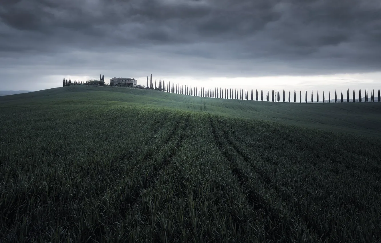 Photo wallpaper field, nature, Tuscany
