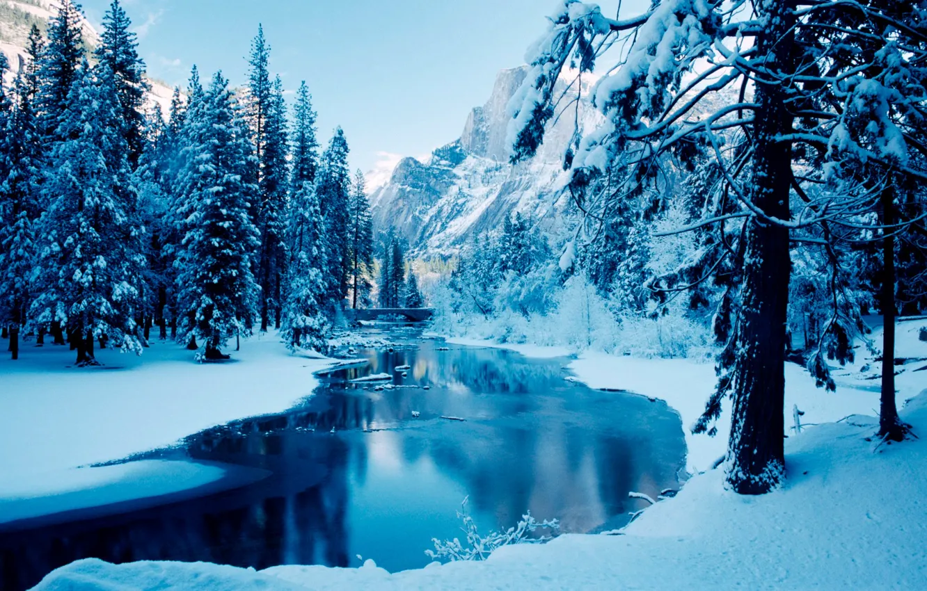 Photo wallpaper winter, trees, mountains, river, ice