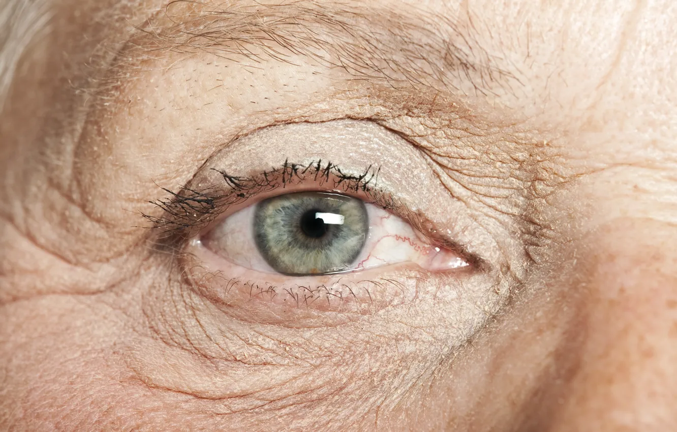 Photo wallpaper eye, wrinkles, grandmother, elderly