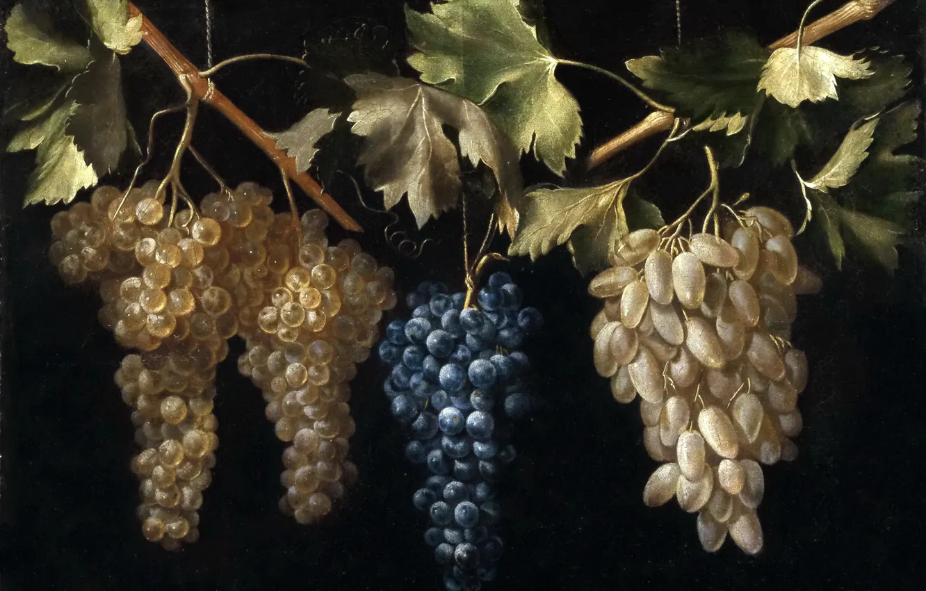 Photo wallpaper picture, still life, Four Bunches Of Grapes, Juan Fernandez, El Labrador