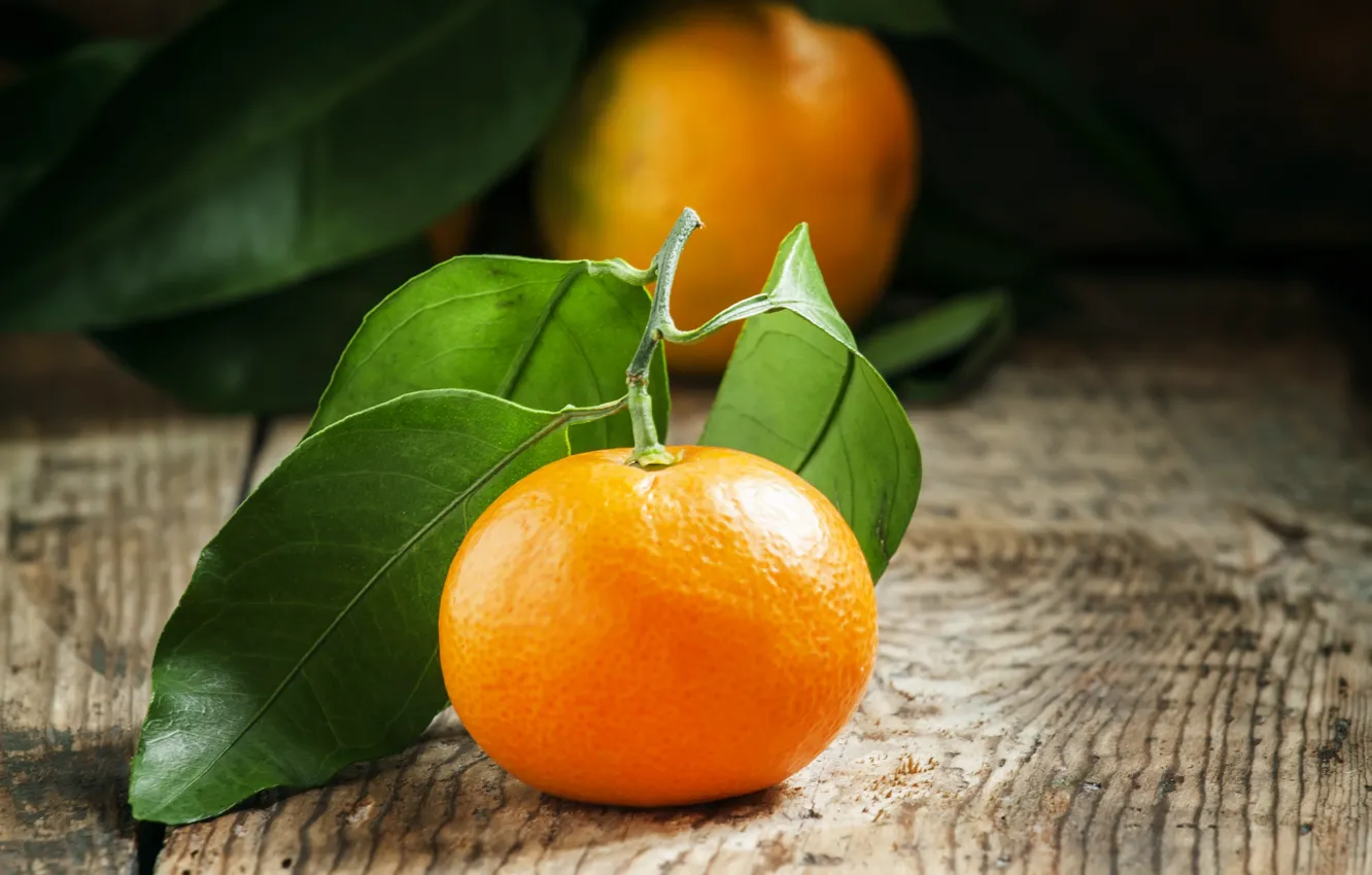 Photo wallpaper leaves, citrus, tangerines