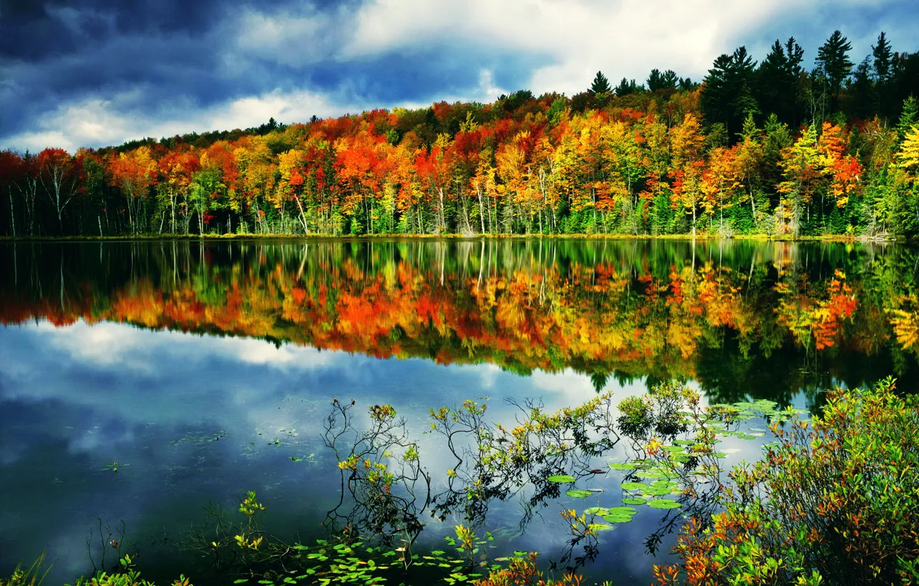 Photo wallpaper autumn, forest, the sky, clouds, lake