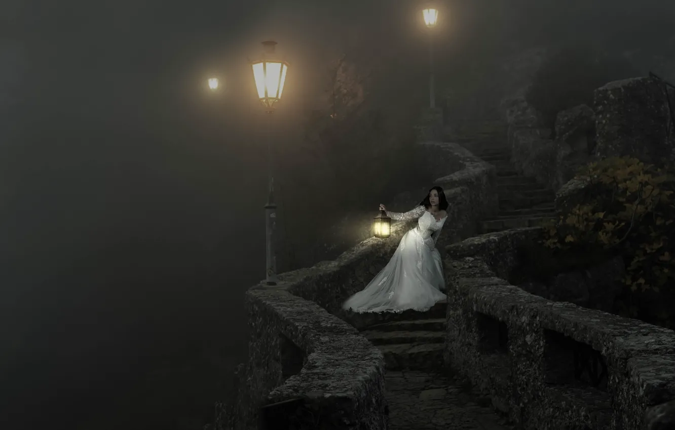 Photo wallpaper look, girl, light, night, pose, fog, rendering, castle