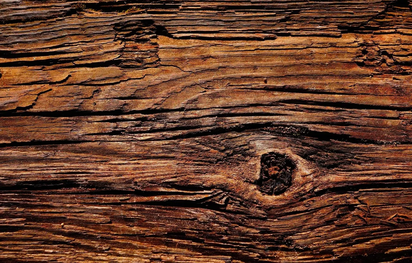 Photo wallpaper wood, board, Knot
