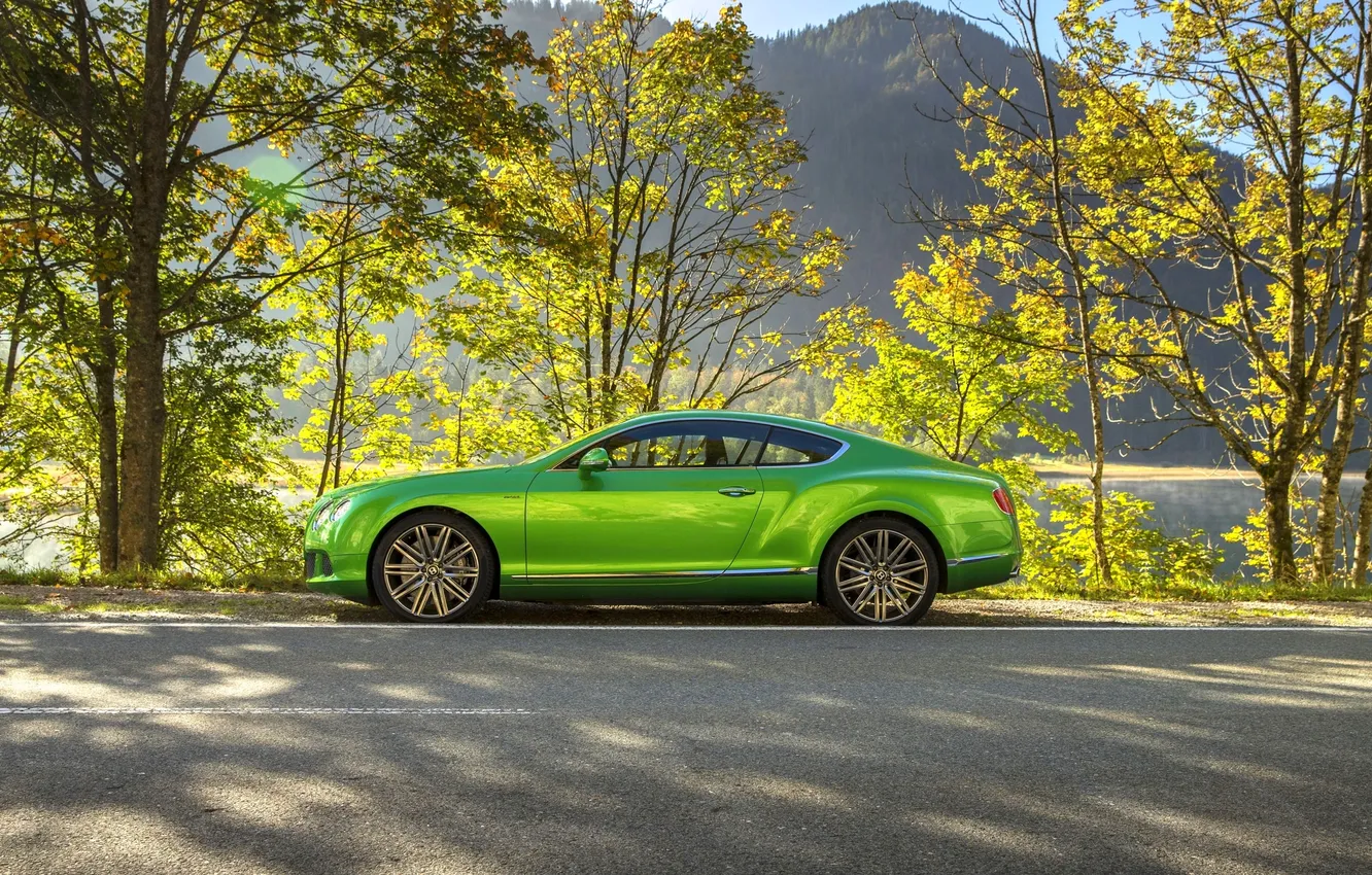 Photo wallpaper trees, green, Bentley, Continental, car, side view, Suite