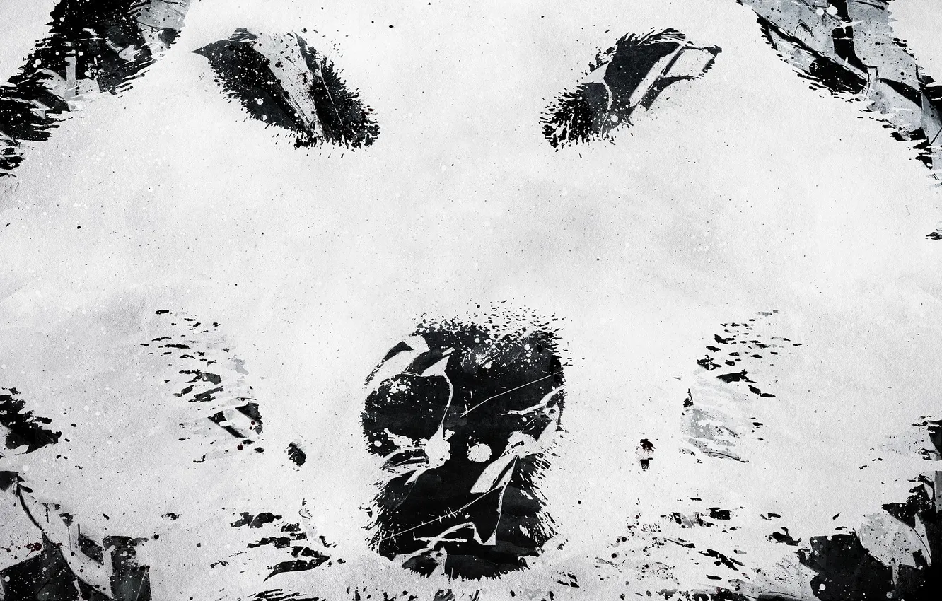 Photo wallpaper wolf, vhm-alex, lonewolves