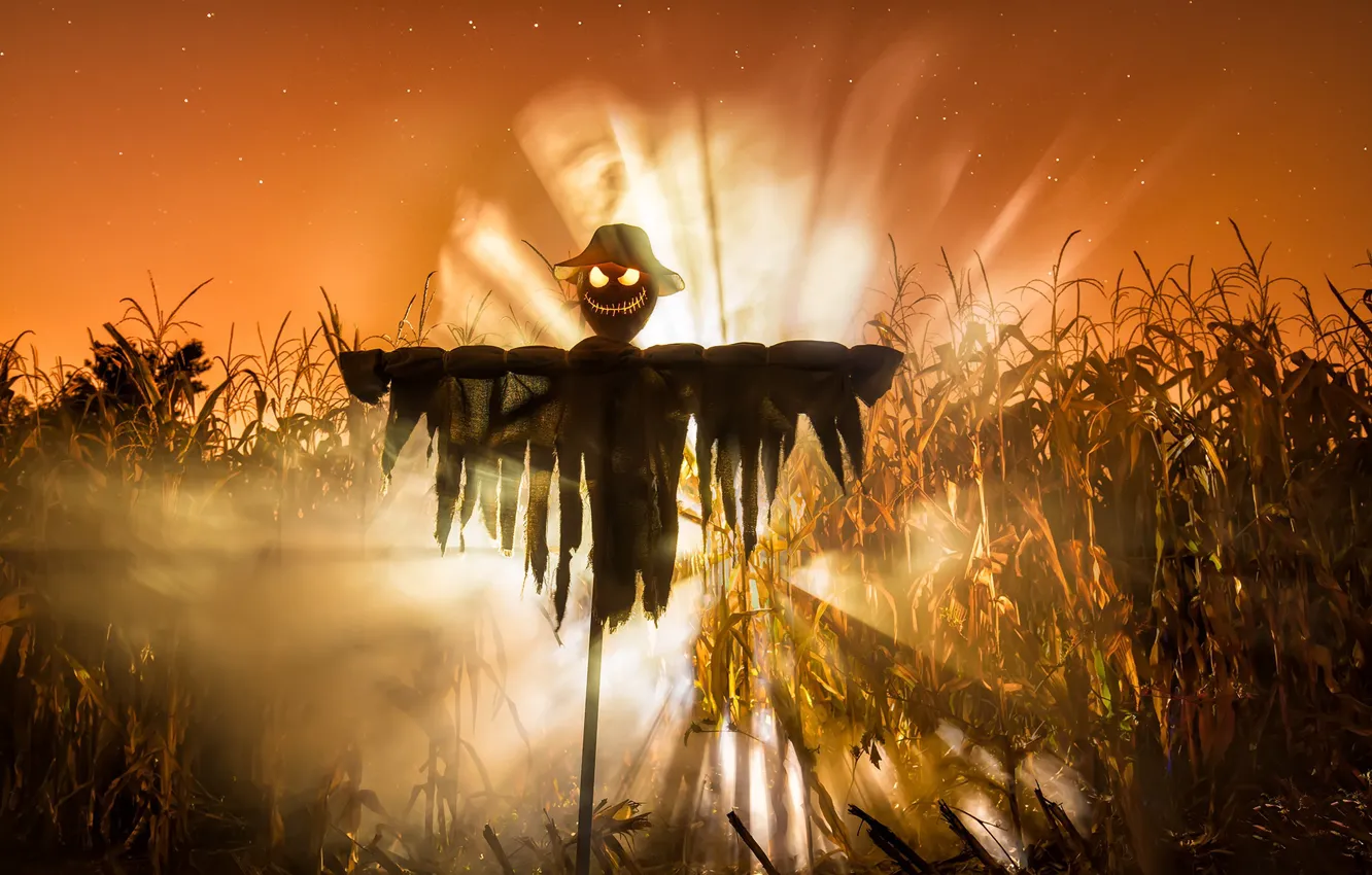 Photo wallpaper holiday, Halloween, Lord of the Corn