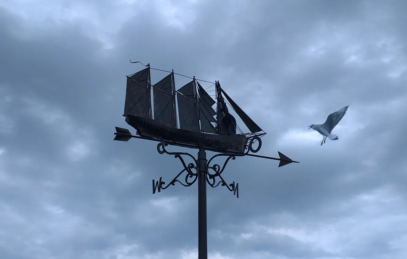 Photo wallpaper the sky, seagulls, weathervane